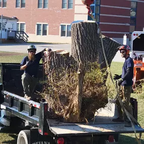 Bild von T.W. Enterprises, Inc Tree & Landscaping Co.