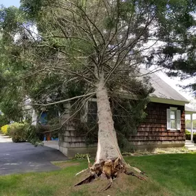 Bild von T.W. Enterprises, Inc Tree & Landscaping Co.
