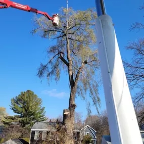 Bild von T.W. Enterprises, Inc Tree & Landscaping Co.