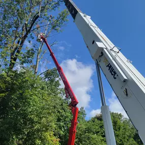 Bild von T.W. Enterprises, Inc Tree & Landscaping Co.