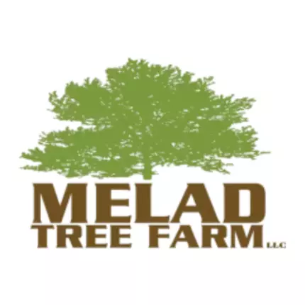 Logo de Melad Tree Farm