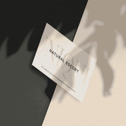 Logo de High Class Escort Hamburg