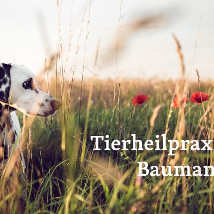 Logo de Tierheilpraxis Baumann