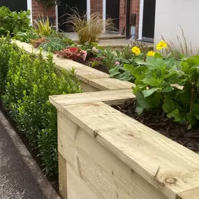 Bild von Marcus Morrey Garden Services