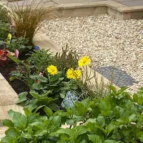 Bild von Marcus Morrey Garden Services