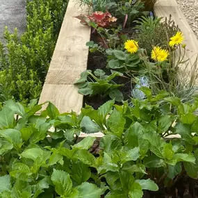 Bild von Marcus Morrey Garden Services