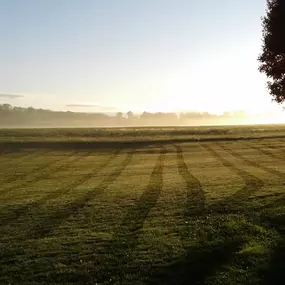 – Especially in the springtime, rolling out your lawn smooths out heaving from frost, and bumps and irregularities caused by rodents or grubs.