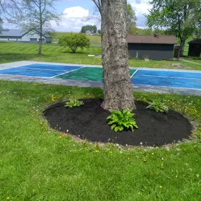 Working with fellow family-owned business, Kaufman Mulch in Millersburg, allows Steven to offer a wide selection and trusted quality. He guides homeowners and business owners to select the color and shred to best complement any building.