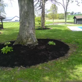 Working with fellow family-owned business, Kaufman Mulch in Millersburg, allows Steven to offer a wide selection and trusted quality. He guides homeowners and business owners to select the color and shred to best complement any building.
