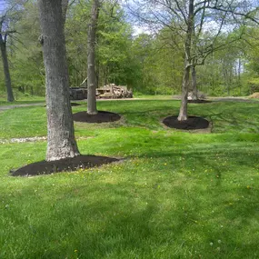 Working with fellow family-owned business, Kaufman Mulch in Millersburg, allows Steven to offer a wide selection and trusted quality. He guides homeowners and business owners to select the color and shred to best complement any building.