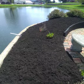 Bild von Sunset Yard Solutions