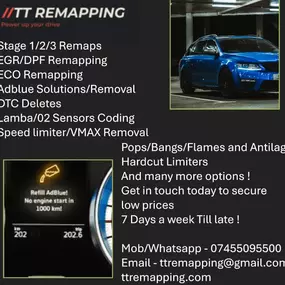 Bild von Throttle Therapy Remaps