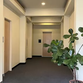 Bild von AudioNova
