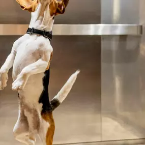 Bild von ibis Nuernberg Hauptbahnhof