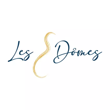 Logo de LES 3 DOMES