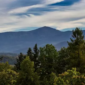 Bild von Mercure Jelenia Gora