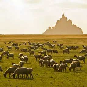 Bild von hotelF1 Avranches Baie du Mont Saint Michel