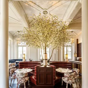 Bild von BOTANIC TEAROOM