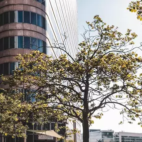Bild von Pullman Paris la Défense