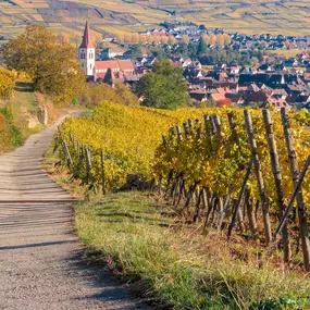 Route des vins alsace