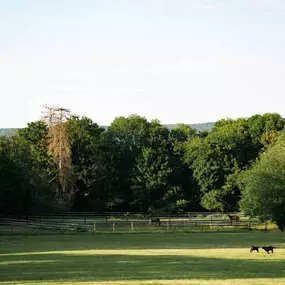 Bild von Novotel Domaine De Maffliers - Demeures De Campagne