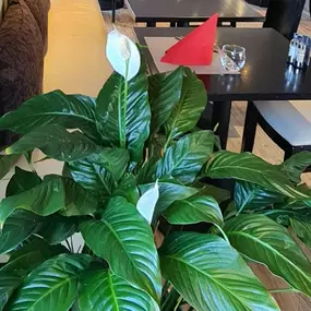 Bild von ibis Vannes