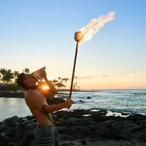 Bild von Fairmont Orchid