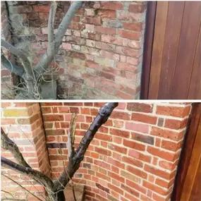 Bild von R&T Kirby Pointing