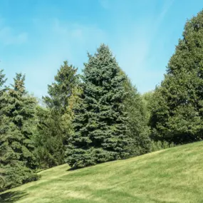Bild von Woodlands of Brookfield