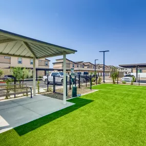 Dog Park