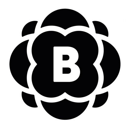 Logo fra BRUSSOBAUM GbR.