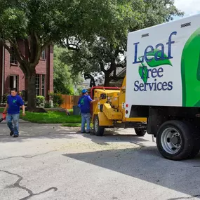 Bild von Leaf Tree Services