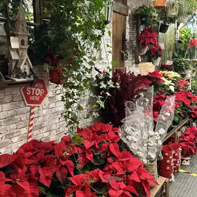 Bild von Floristería Barcelona el Jardi de Maragall