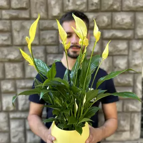 Bild von Floristería Barcelona el Jardi de Maragall