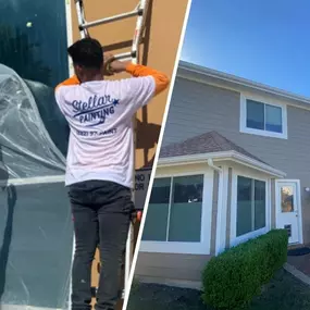 Contractor Types - Painting Contractors - Stellar Painting