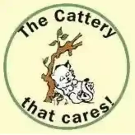 Logo van Comfy Cats Cattery