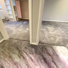 Bild von The Carpet Specialists