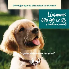 quepasapeludo-foto3.jpg