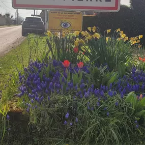 Bild von Sophie LORANDEL - Safti Immobilier