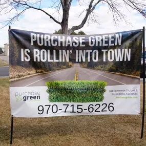 Bild von Purchase Green Artificial Grass