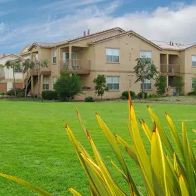 A grassy area in front of apartment buildings.