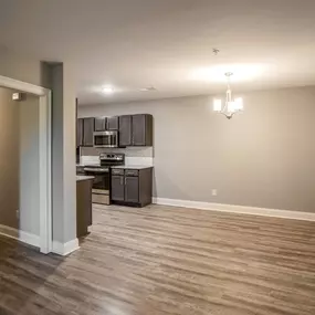 Living room and kitchen