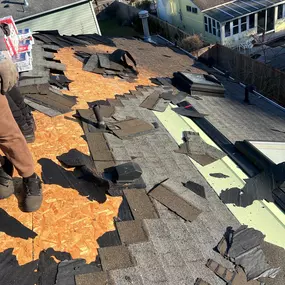 Bild von Brave Builders Roofing