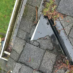 Bild von Brave Builders Roofing