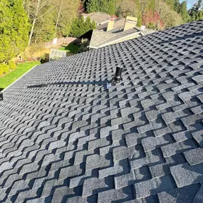Bild von Brave Roofers LLC