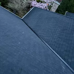 Bild von Brave Roofers LLC