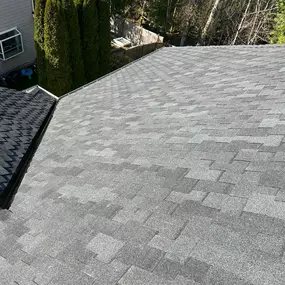 Bild von Brave Roofers LLC