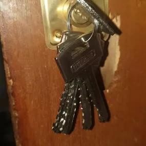 237211040-2-oJVqd05you1742819666993.jpeg