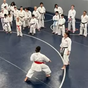 Bild von Shotokan Karate Dojo