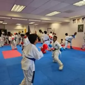 Bild von Shotokan Karate Dojo